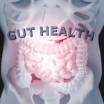 Gut Health