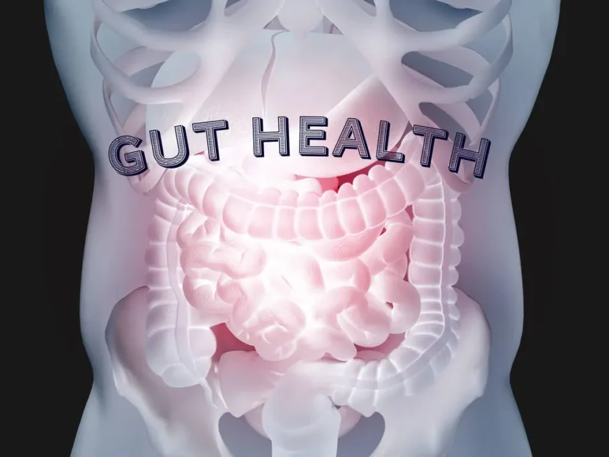Gut Health