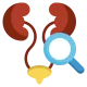 Urologist