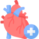 cardiology