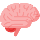 neurology