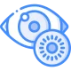 opthalmologist